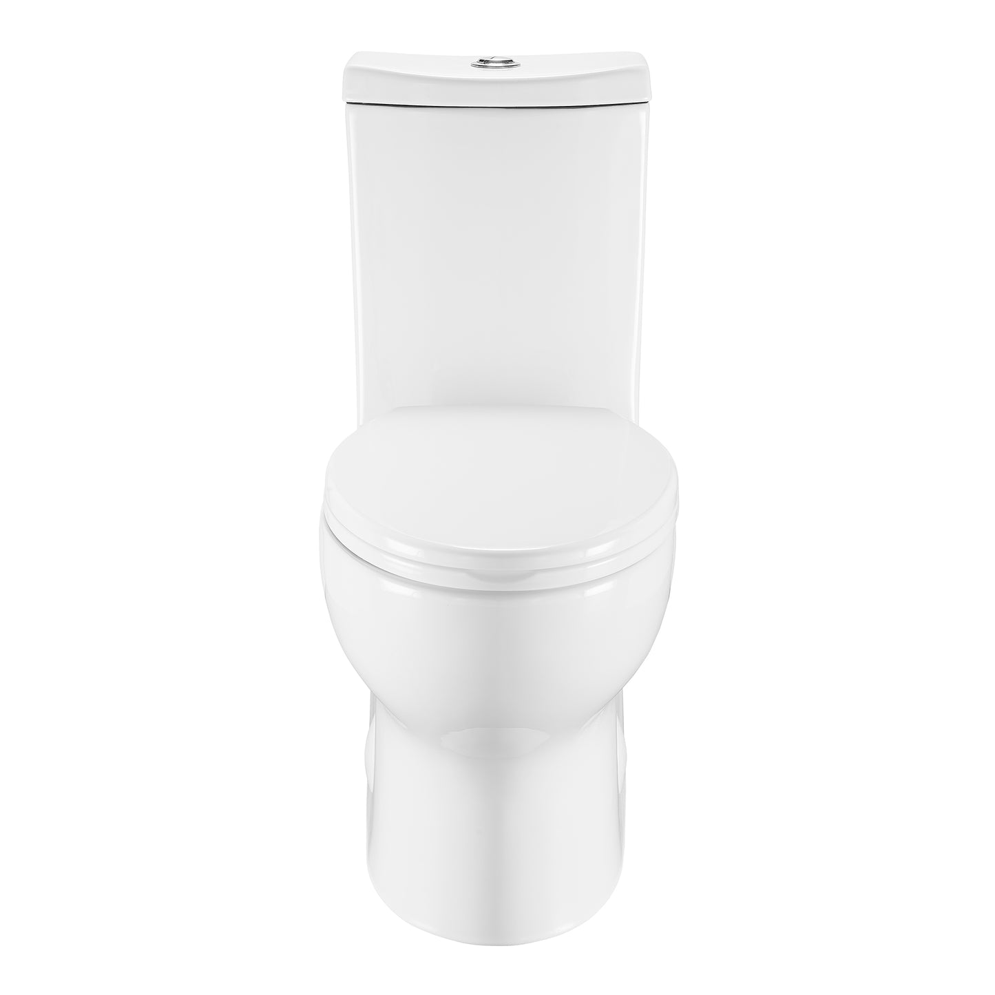 Dorion One Piece Elongated Toilet Dual Flush 1.1/1.6 gpf