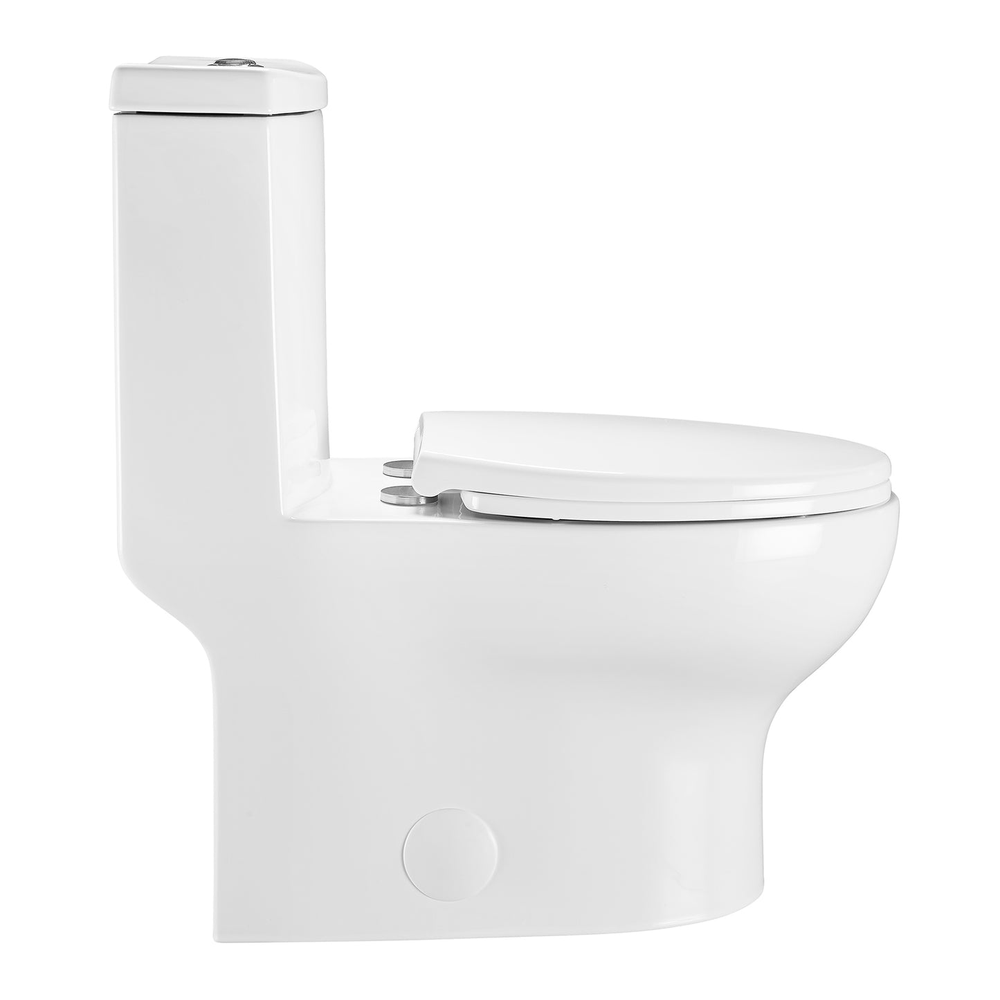 Dorion One Piece Elongated Toilet Dual Flush 1.1/1.6 gpf