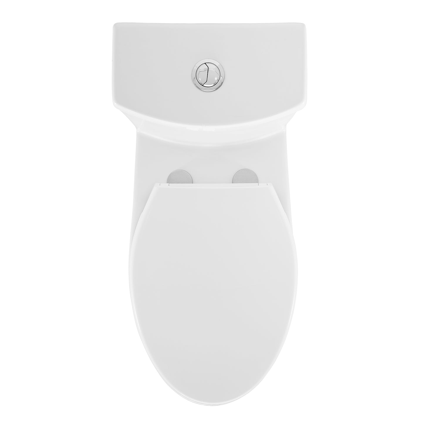 Dorion One Piece Elongated Toilet Dual Flush 1.1/1.6 gpf